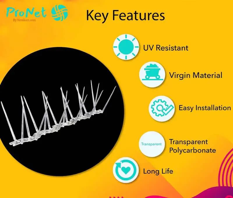 ProNet 2 row bird spikes key features image showing UV-resistant transparent polycarbonate spike design