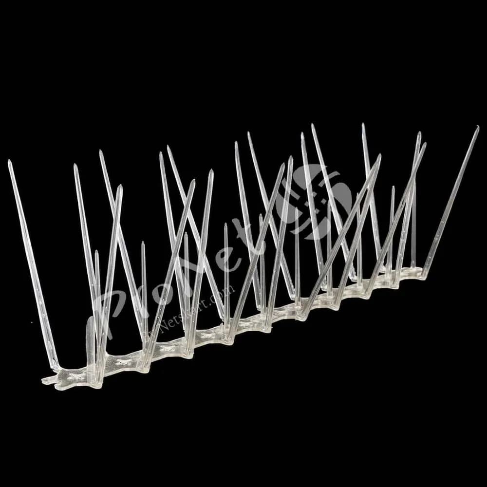 ProNet transparent 3 row bird spike strip with dense spike coverage for balconies, rooftops and ledges